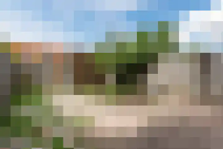 Duinbeek 72 Lelystad thumbnail 34