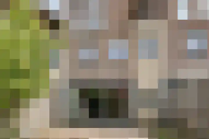 Duinbeek 72 Lelystad thumbnail 37