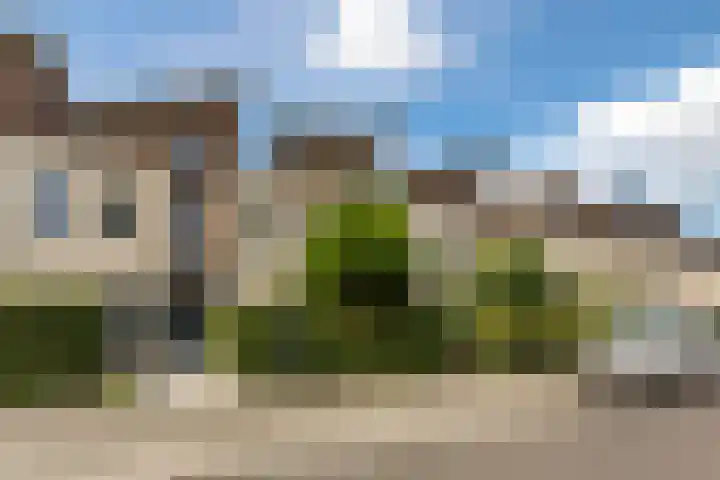 Duinbeek 72 Lelystad thumbnail 38
