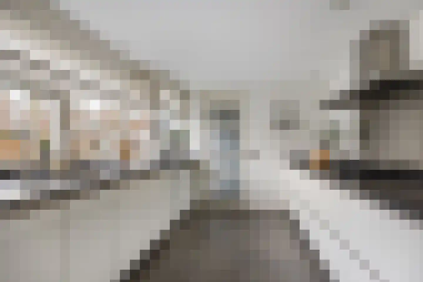 Duinbeek 88 Hoofddorp thumbnail 10