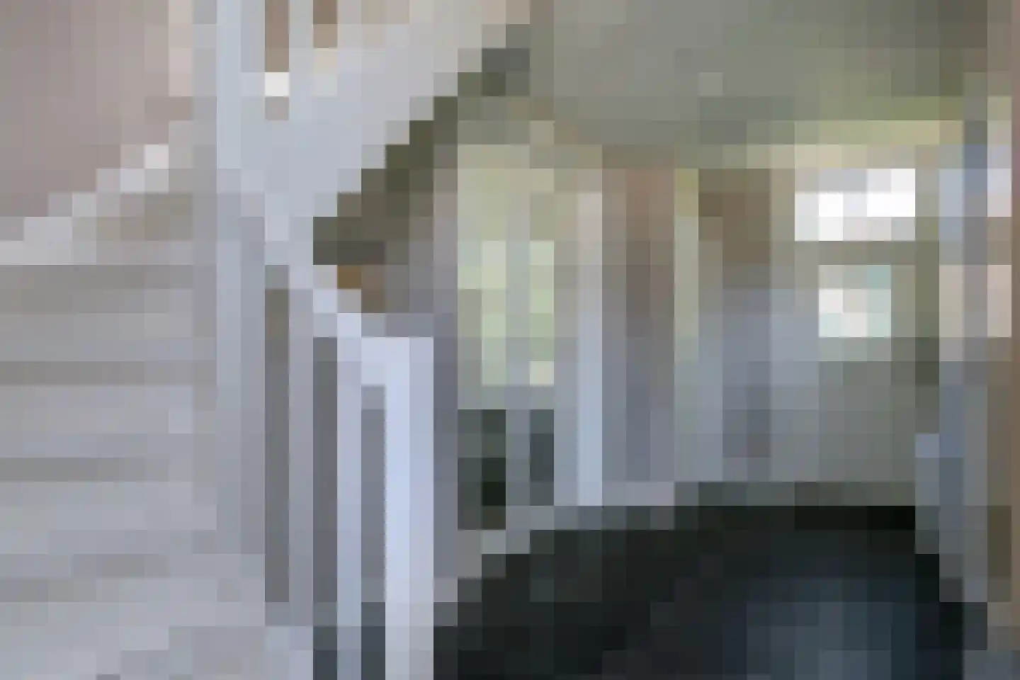Duinbeekseweg 13 Oostkapelle thumbnail 22