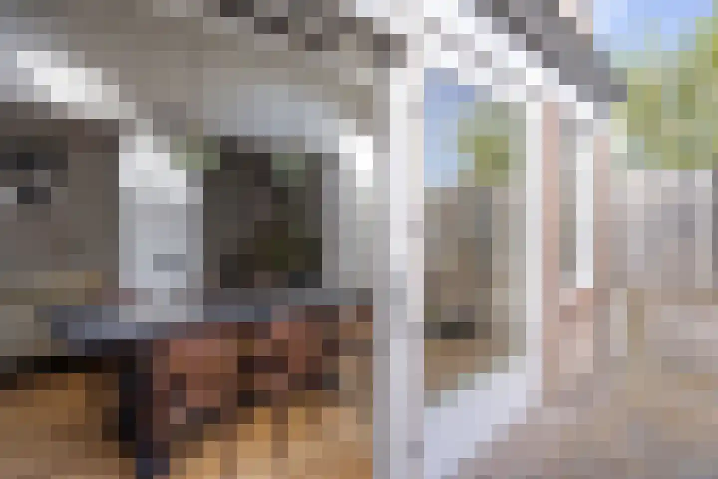 Duinbergenstraat 5 Nuland thumbnail 10