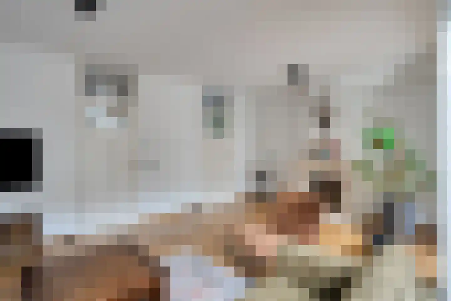 Duinbergenstraat 5 Nuland thumbnail 12