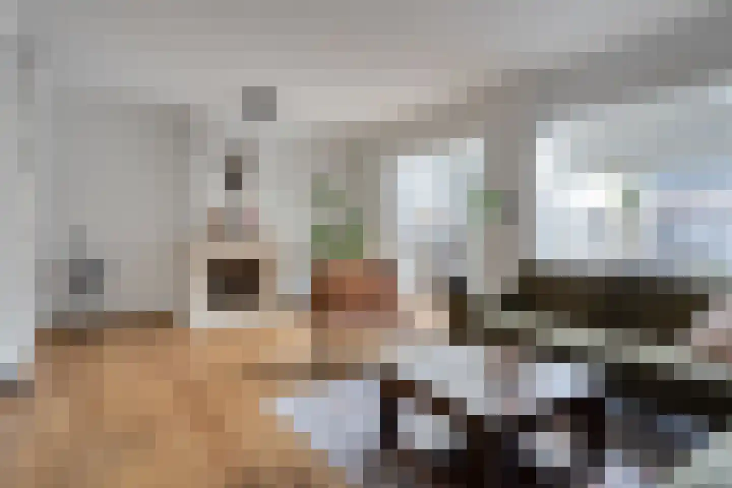Duinbergenstraat 5 Nuland thumbnail 5