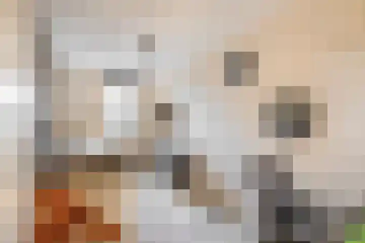 Duinbrink 16 Den Helder thumbnail 20