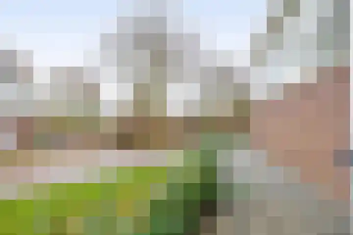 Duinbrink 16 Den Helder thumbnail 33
