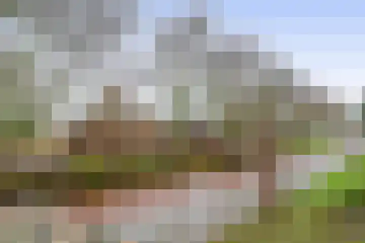Duinbrink 16 Den Helder thumbnail 34