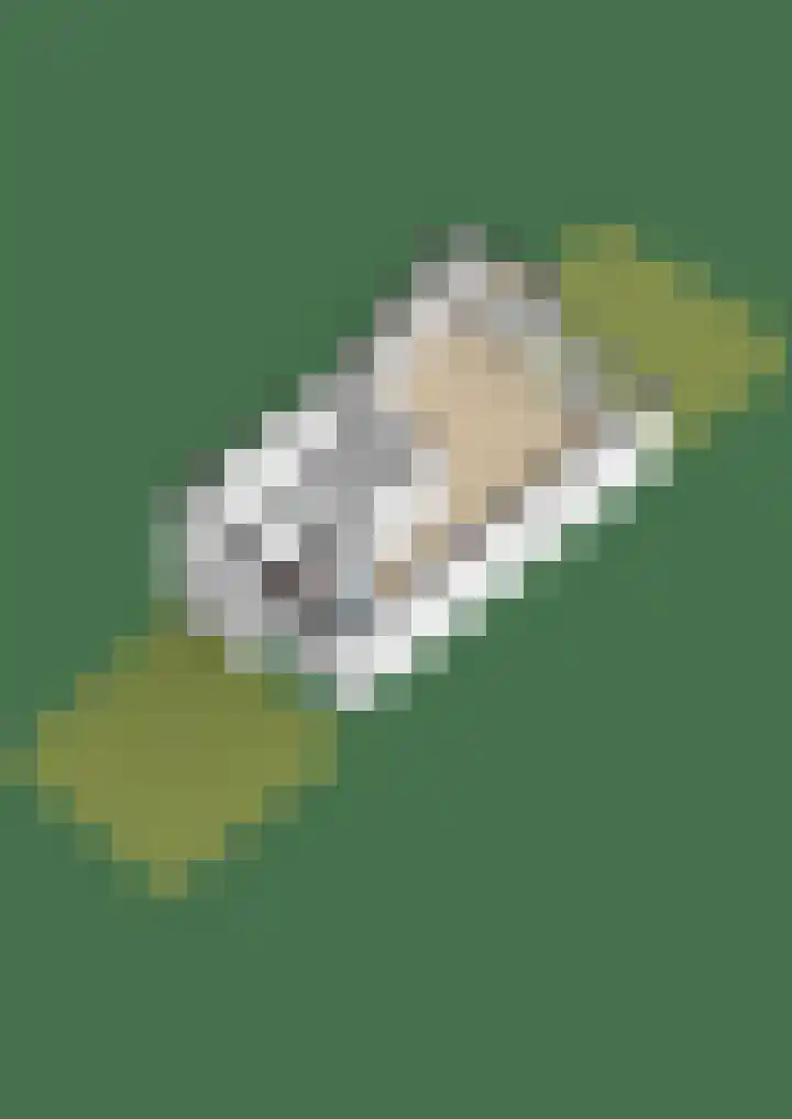 Duinbrink 16 Den Helder thumbnail 44