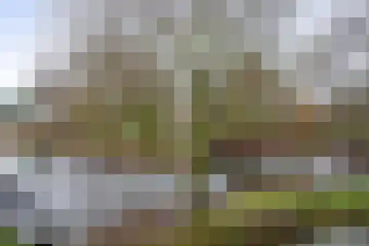 Duinbrink 16 Den Helder thumbnail 5