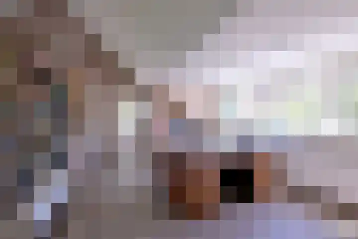 Duinbrink 41 Den Helder thumbnail 19