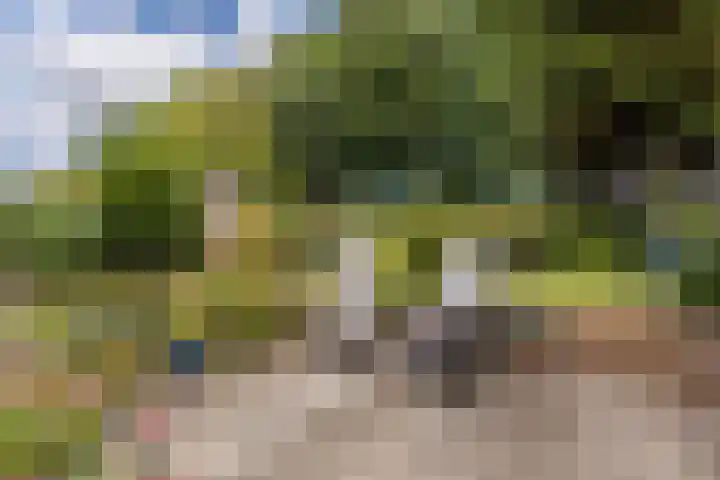 Duinbrink 41 Den Helder thumbnail 27
