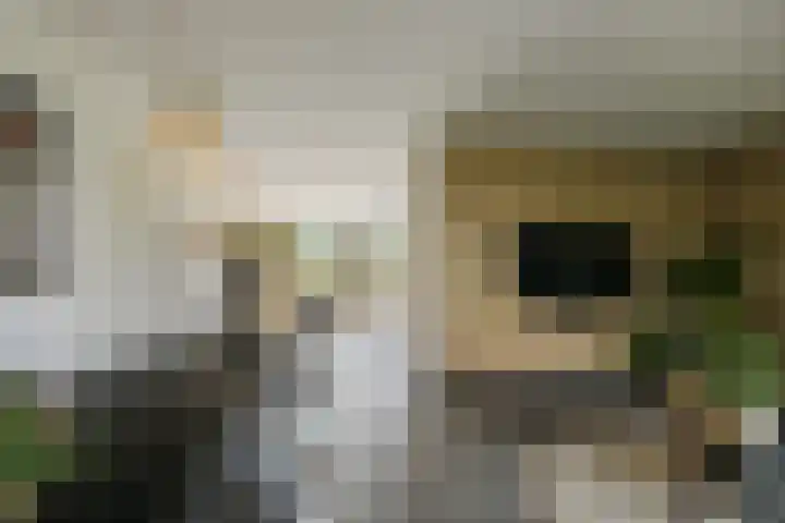 Duinbrink 9 Den Helder thumbnail 11