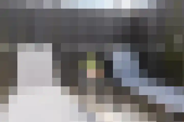 Duinbrink 9 Den Helder thumbnail 27