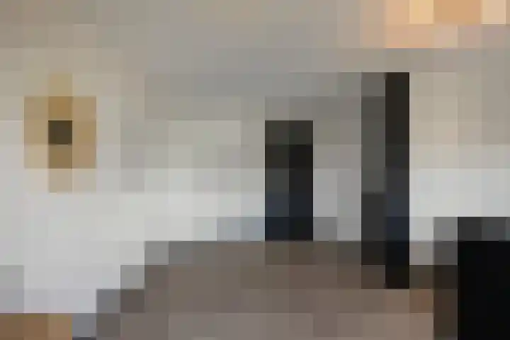 Duinbrink 9 Den Helder thumbnail 38