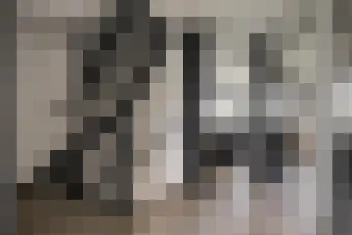 Duinbrink 9 Den Helder thumbnail 42