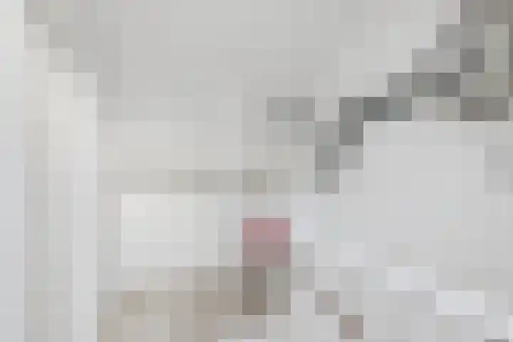 Duinbrink 9 Den Helder thumbnail 51