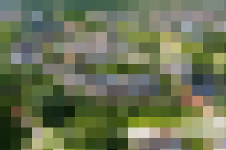 Duinbrink 9 Den Helder thumbnail 6