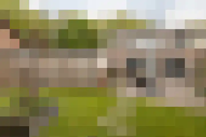Duindal 3 Den Helder thumbnail 13