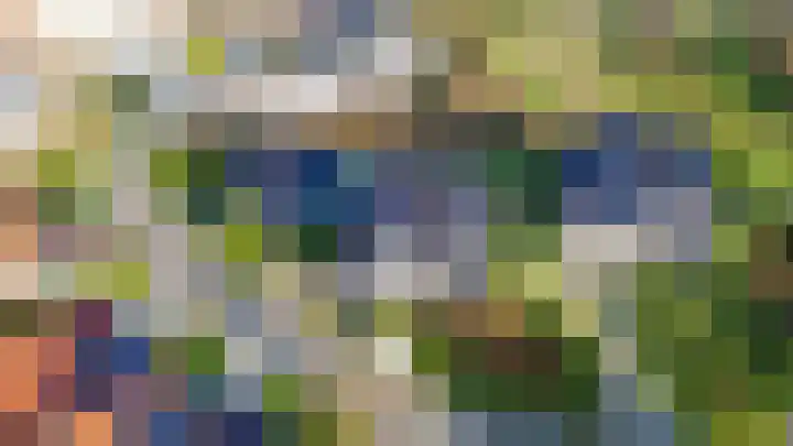 Duindal 3 Den Helder foto 2