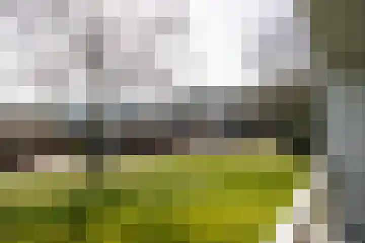 Duindal 3 Den Helder thumbnail 38