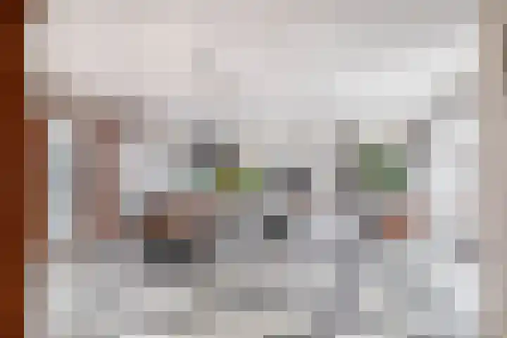 Duindal 3 Den Helder thumbnail 9
