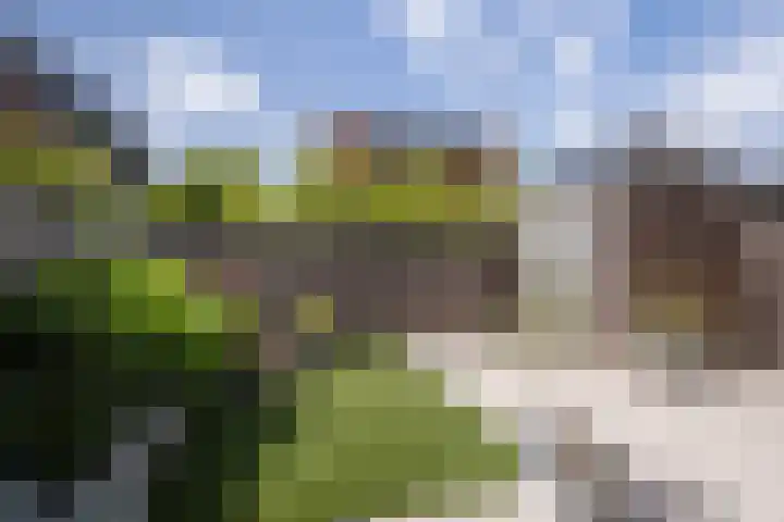 Duindigtstraat 12 Bleiswijk thumbnail 11