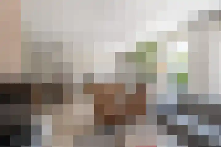 Duindigtstraat 12 Bleiswijk thumbnail 14