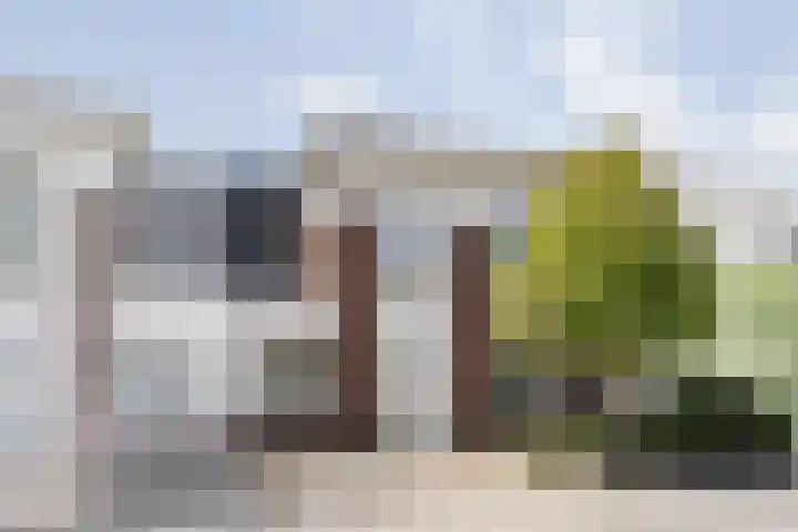 Duindigtstraat 12 Bleiswijk thumbnail 5