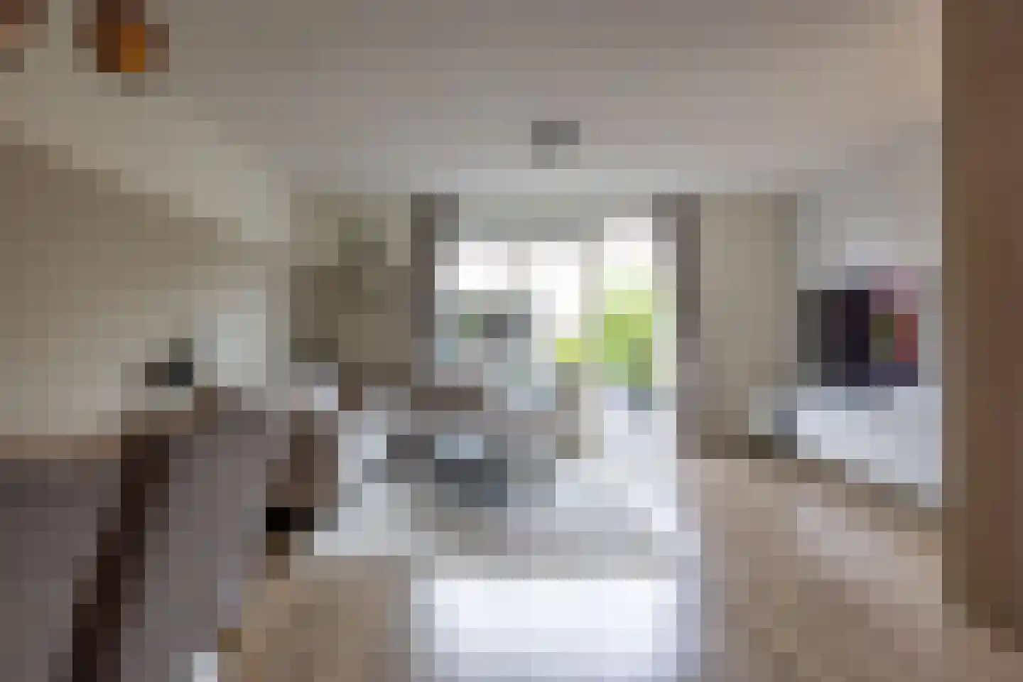 Duindigtstraat 29 Bleiswijk thumbnail 10