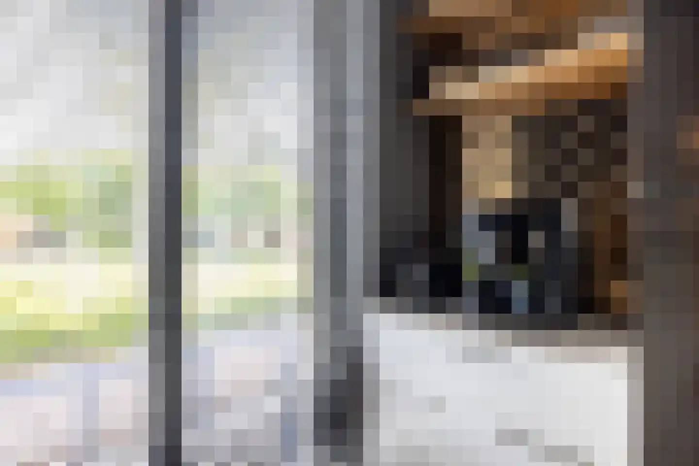 Duindigtstraat 29 Bleiswijk thumbnail 13