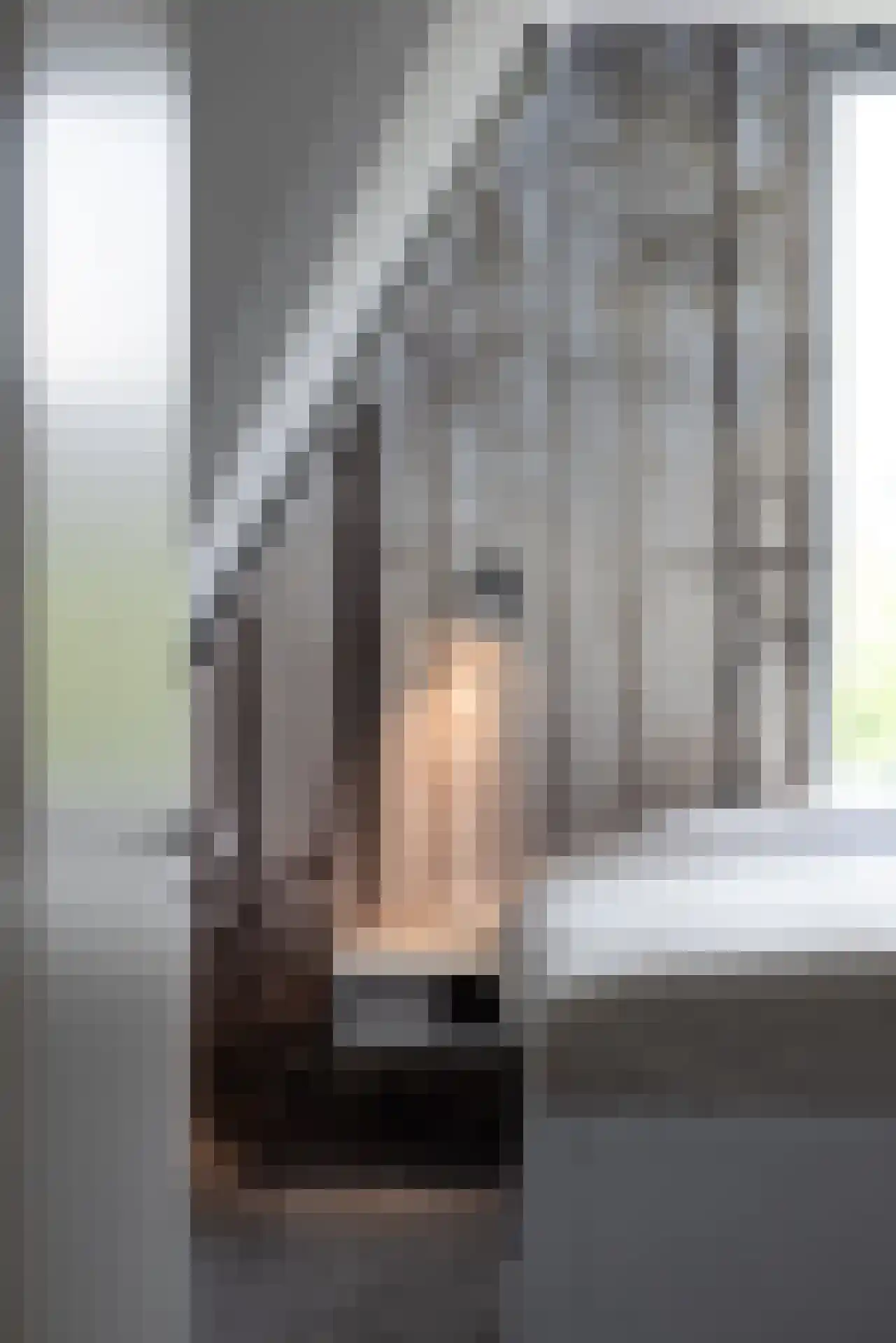 Duindigtstraat 29 Bleiswijk thumbnail 25