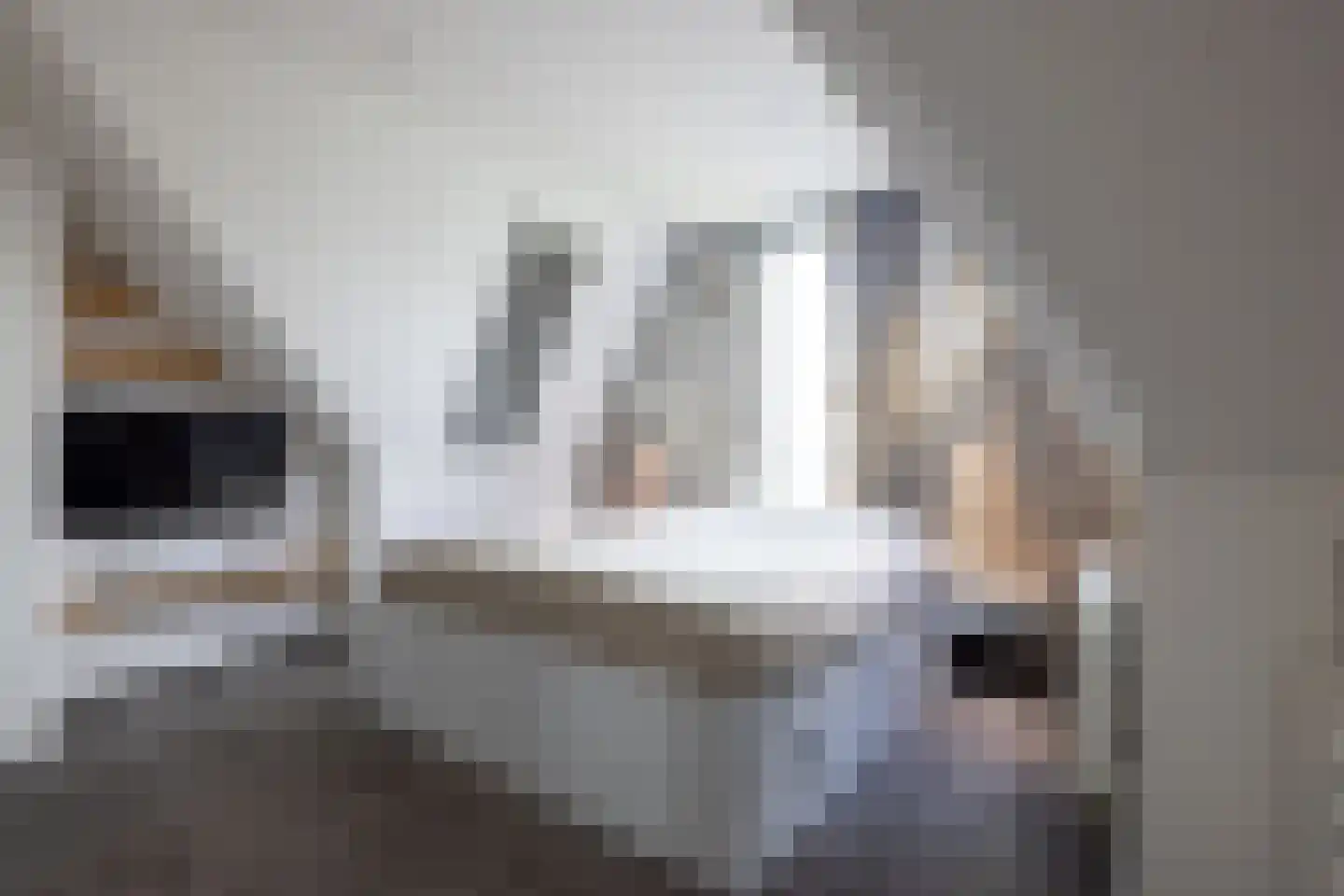 Duindigtstraat 29 Bleiswijk thumbnail 26