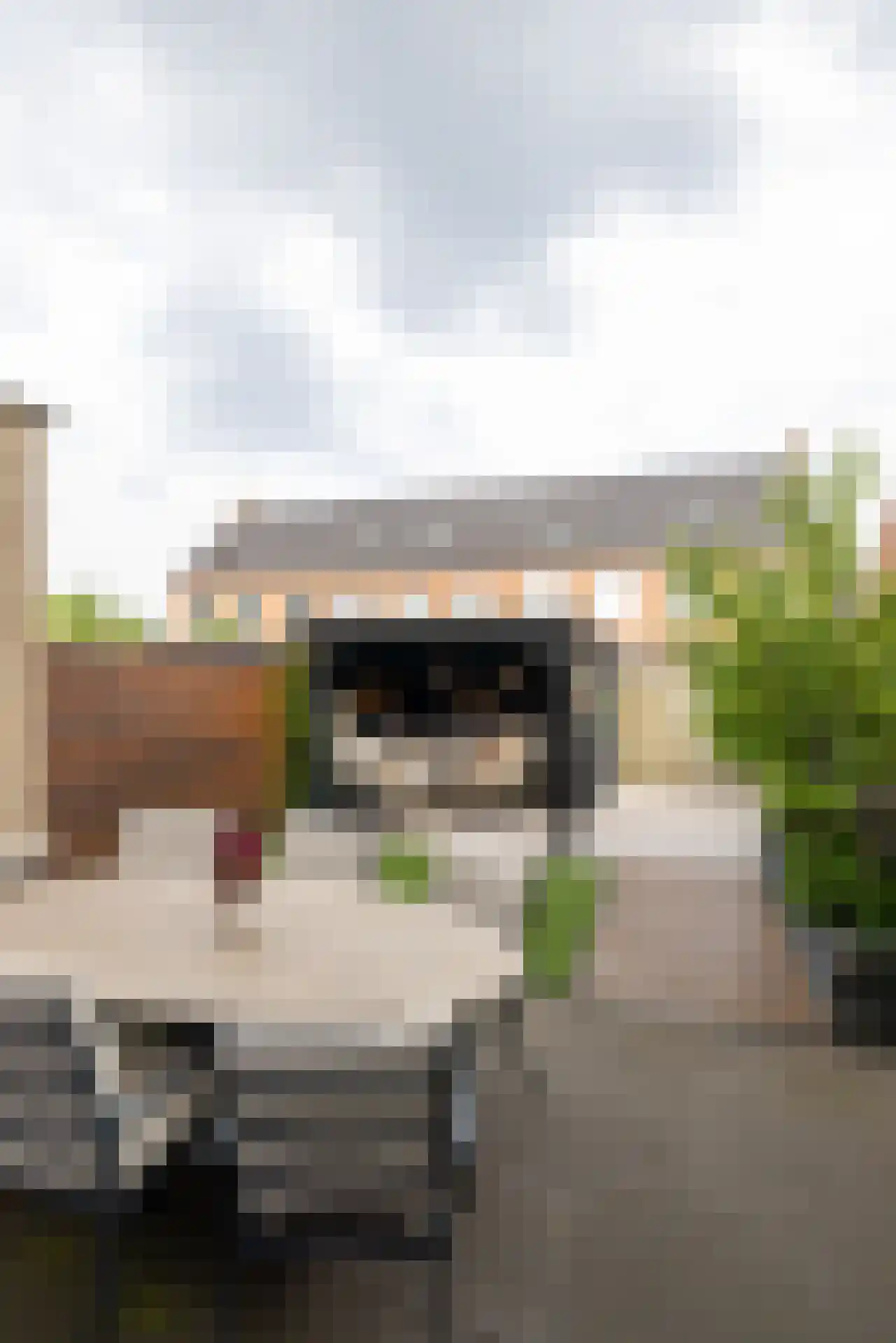 Duindigtstraat 29 Bleiswijk thumbnail 31