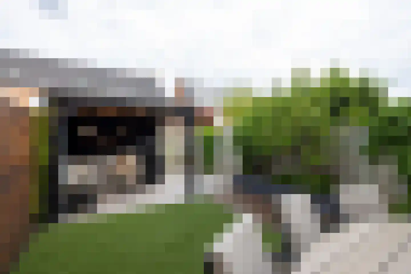 Duindigtstraat 29 Bleiswijk thumbnail 5