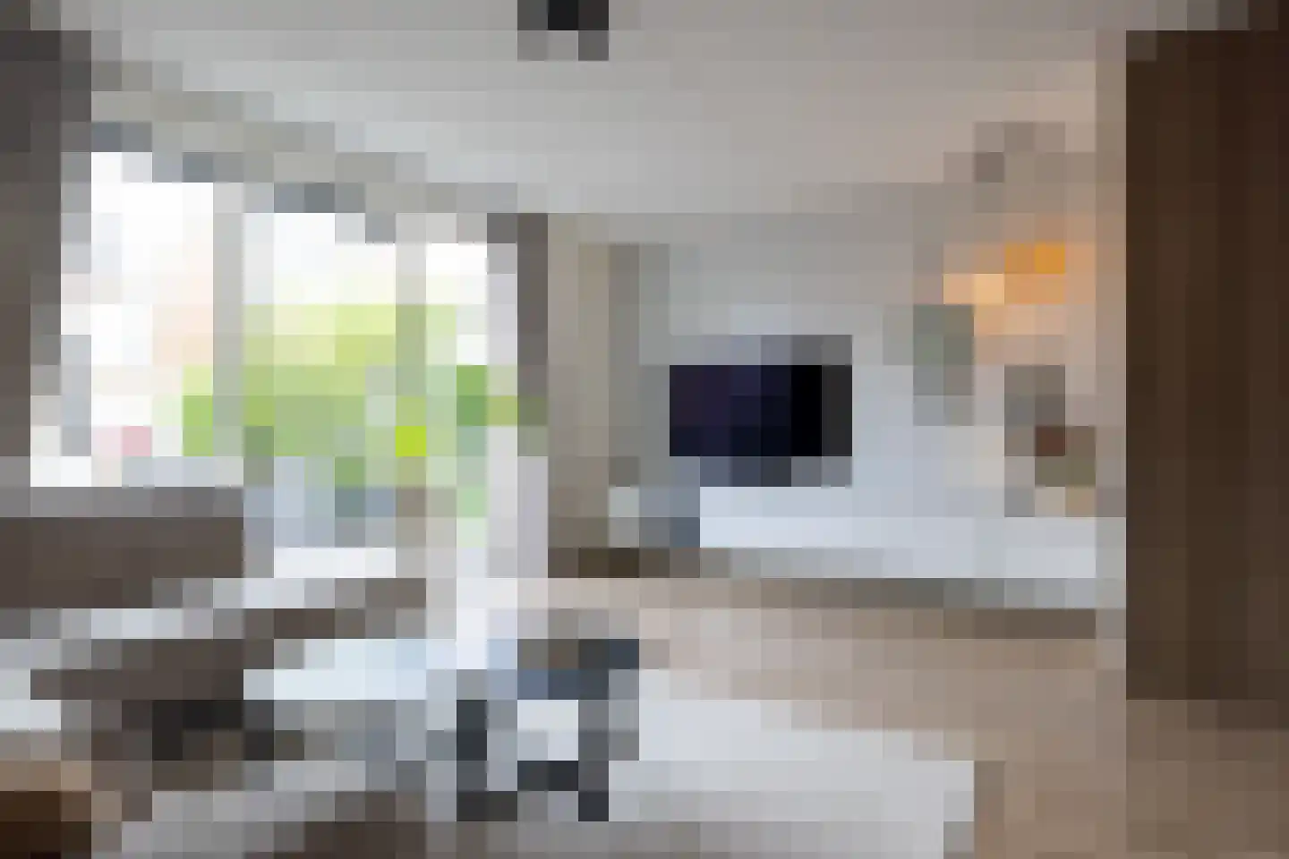 Duindigtstraat 29 Bleiswijk thumbnail 8