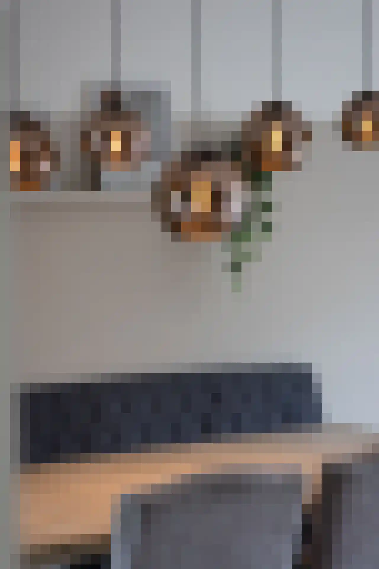 Duindigtstraat 29 Bleiswijk thumbnail 9