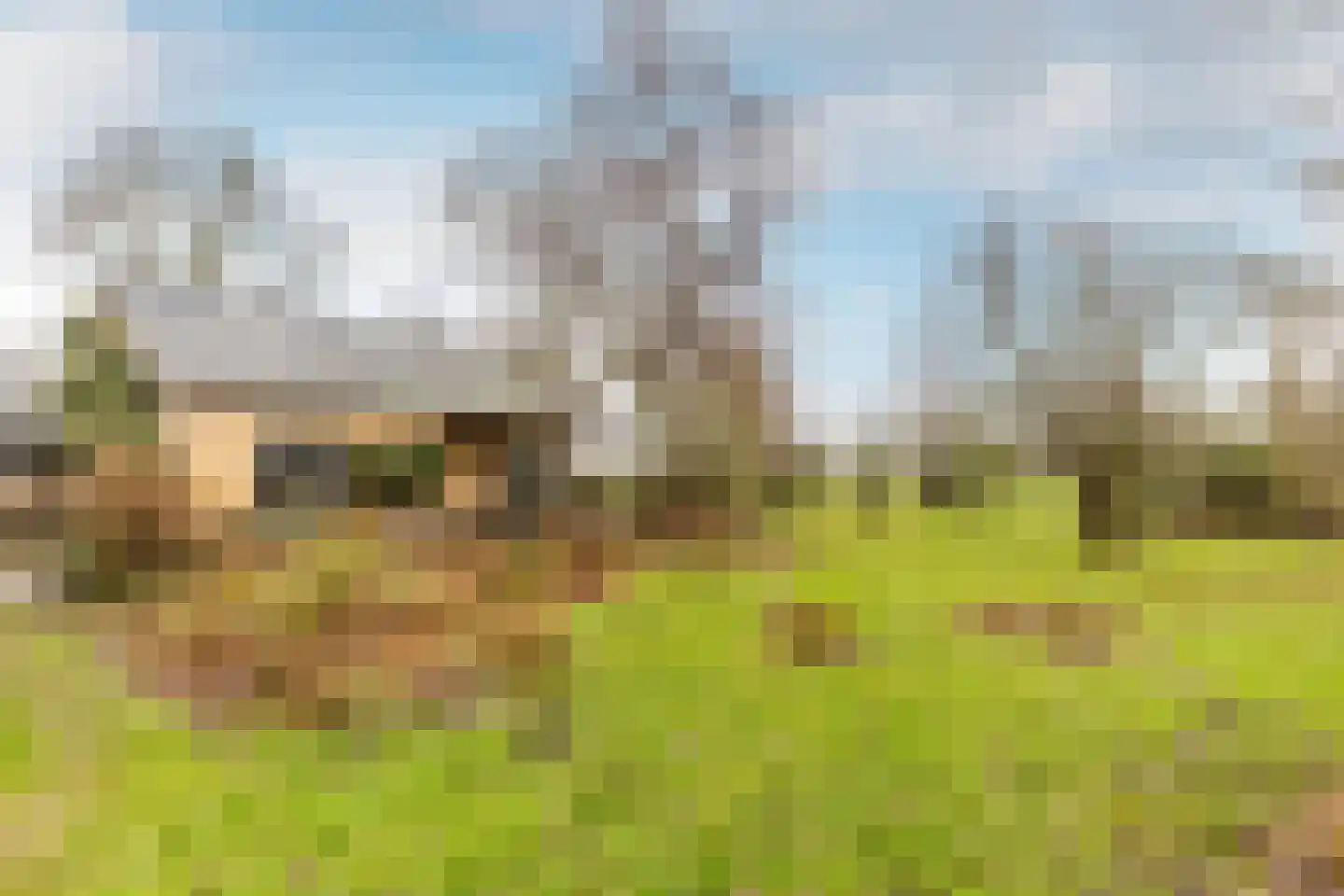 Duindijk 7 Rockanje thumbnail 10
