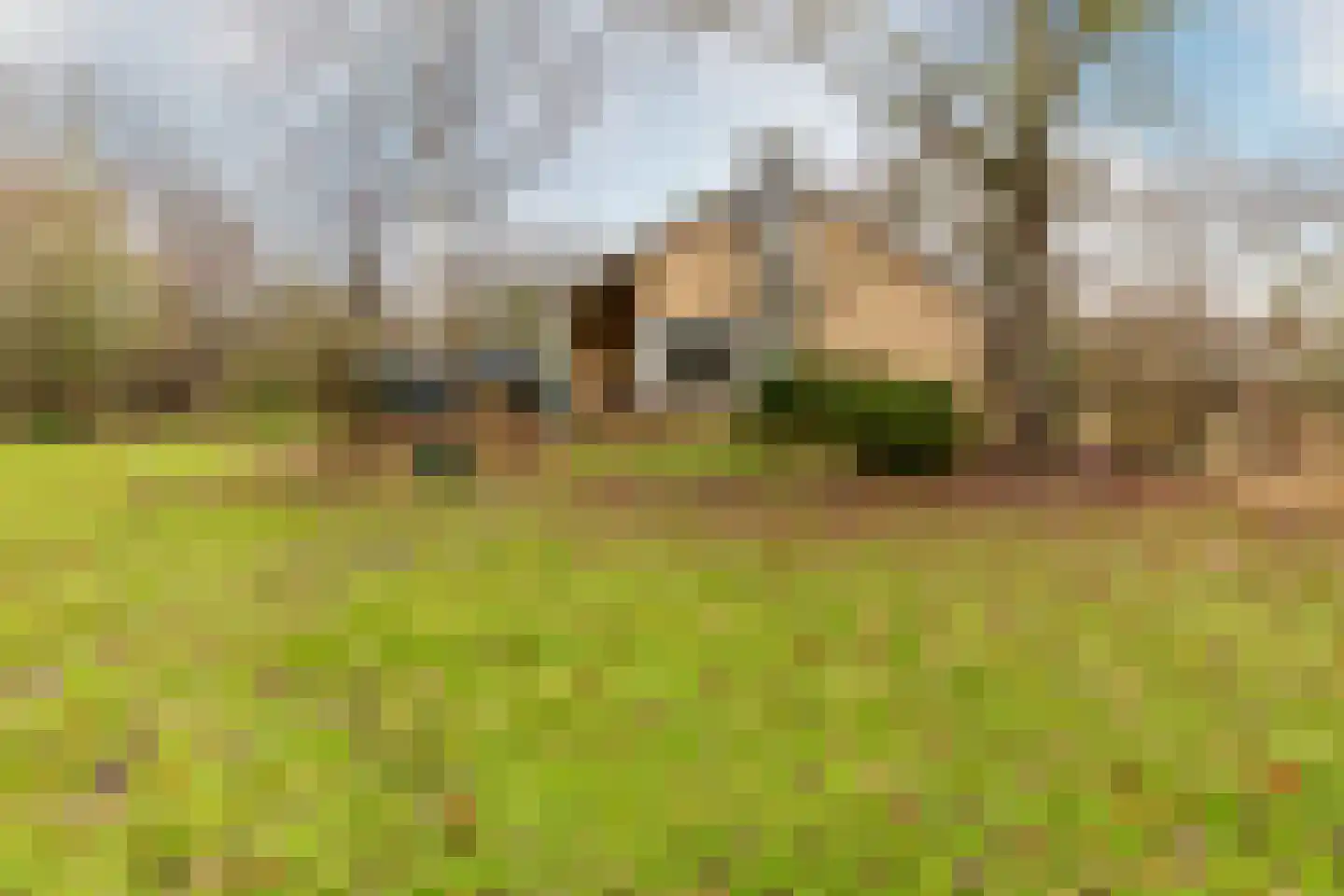 Duindijk 7 Rockanje thumbnail 11