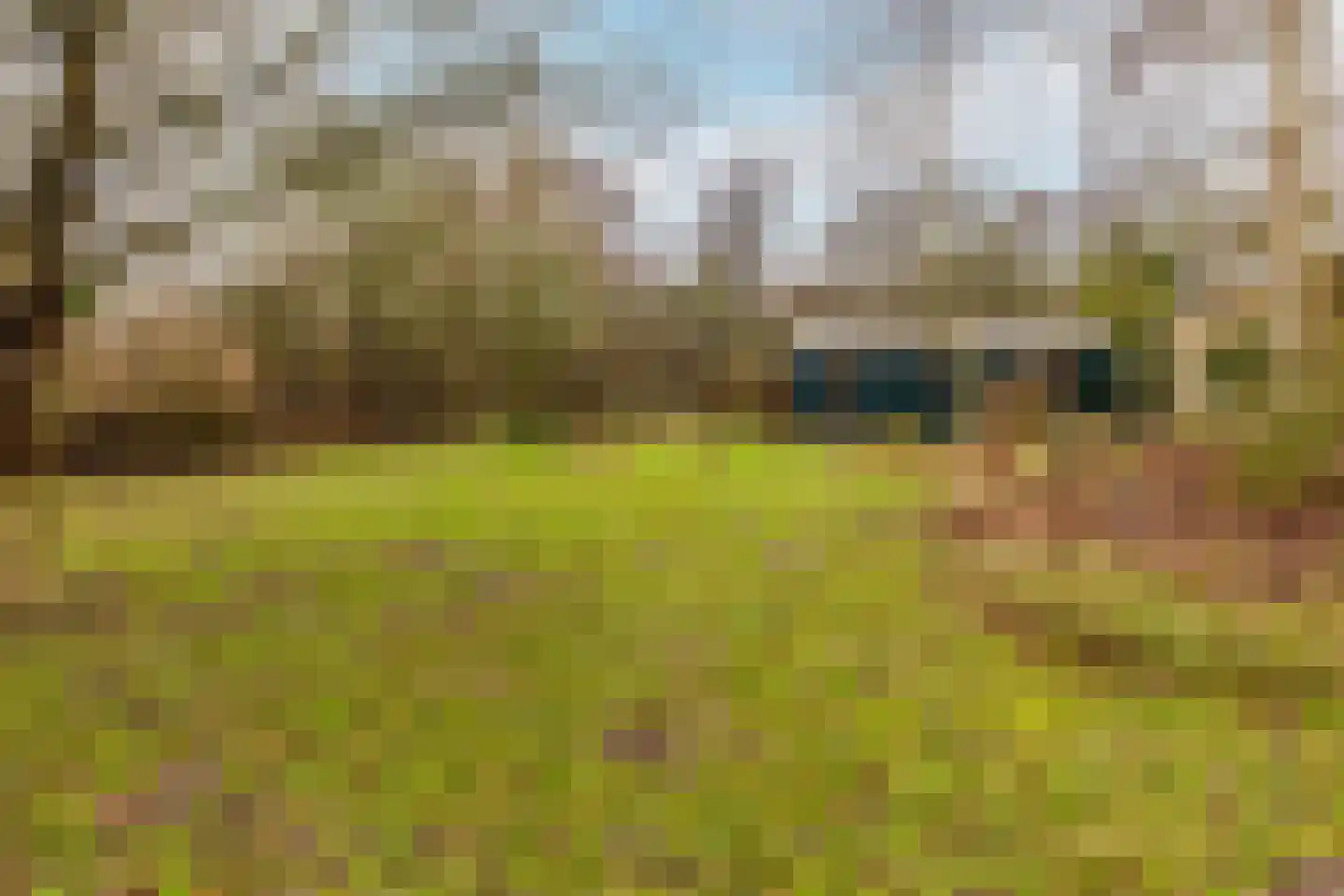 Duindijk 7 Rockanje thumbnail 12