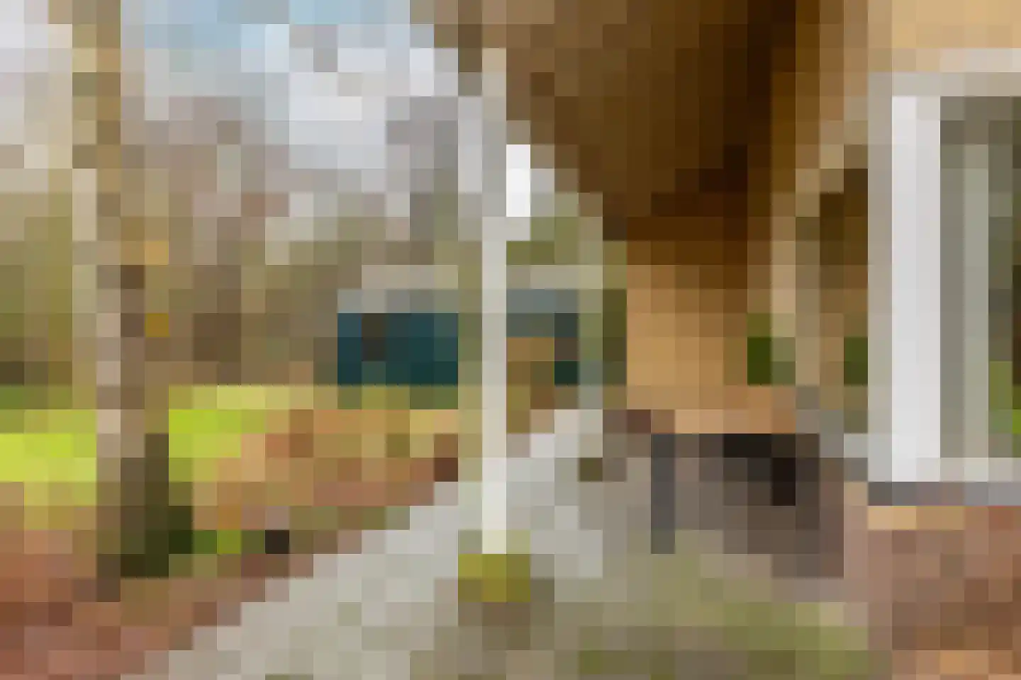 Duindijk 7 Rockanje thumbnail 13