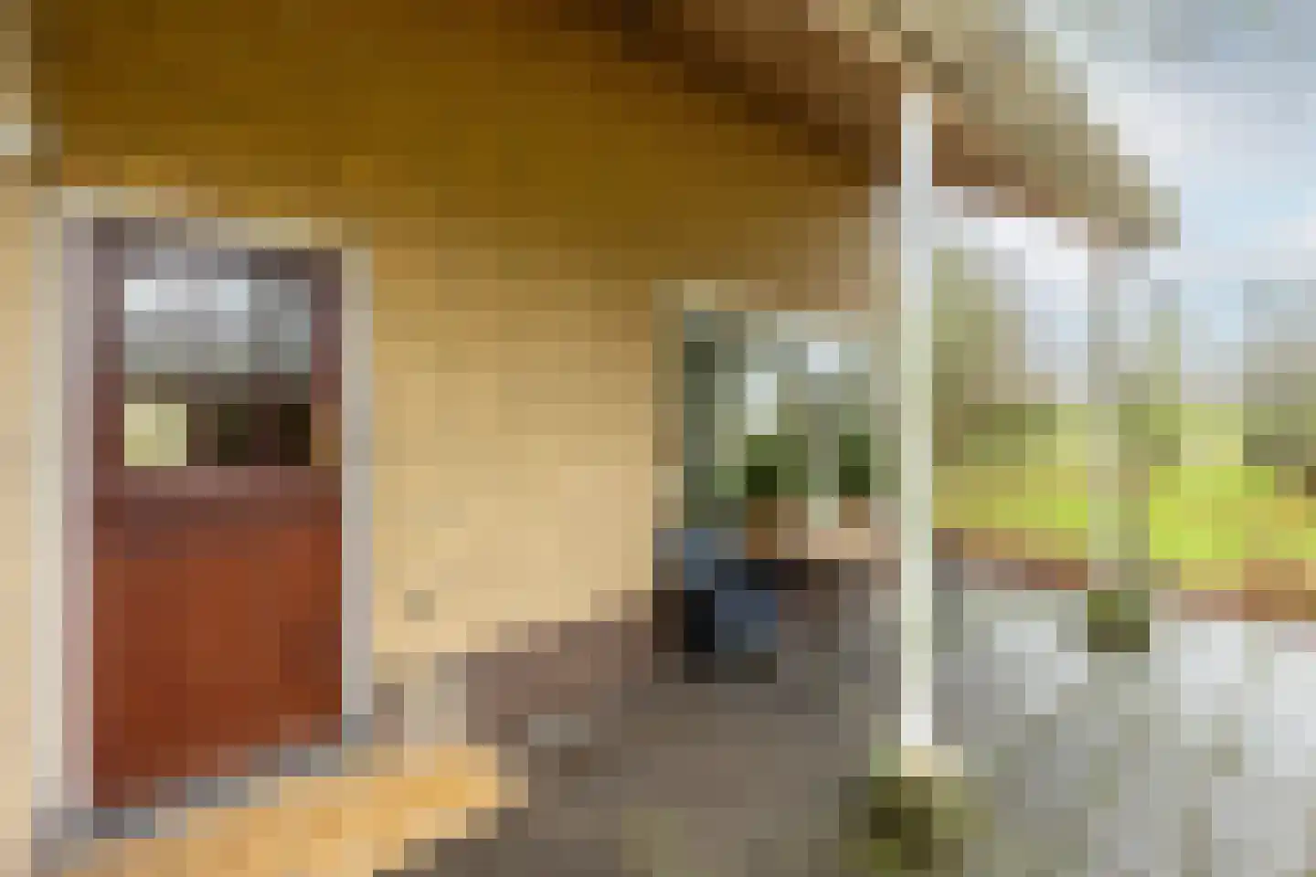 Duindijk 7 Rockanje thumbnail 14
