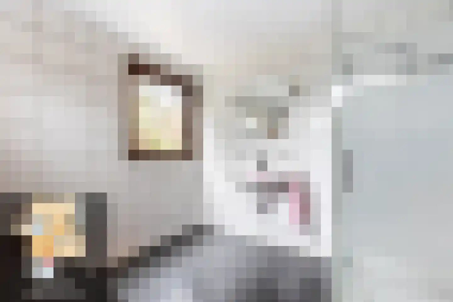 Duindijk 7 Rockanje thumbnail 24