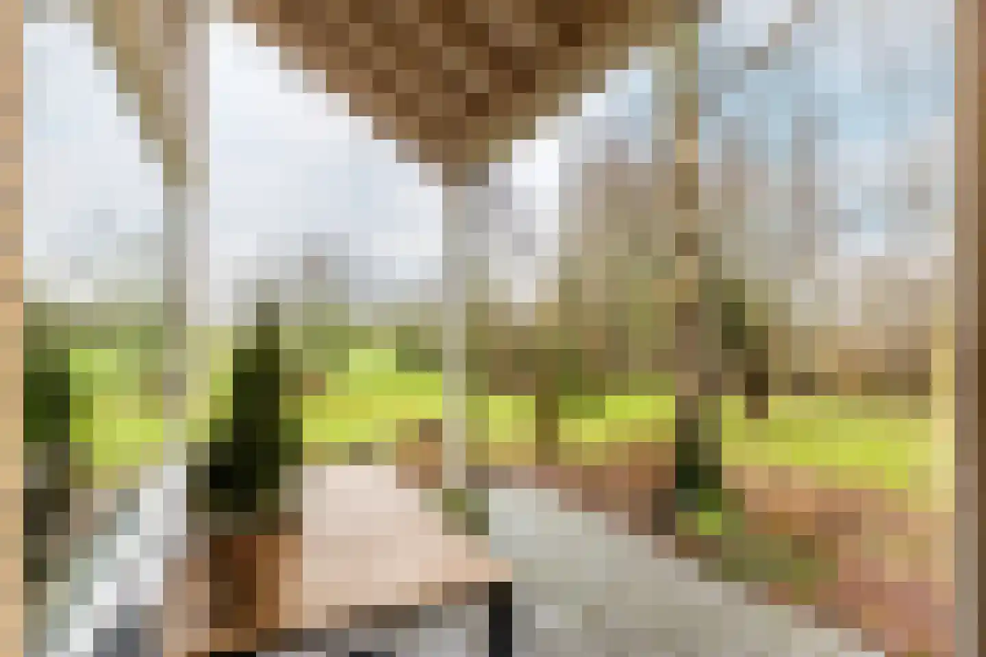Duindijk 7 Rockanje thumbnail 27