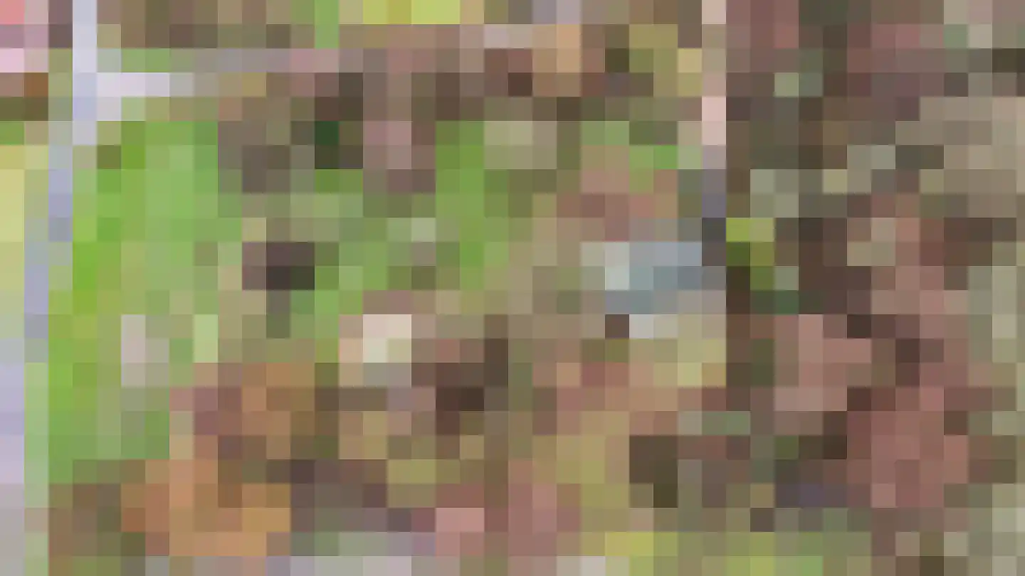 Duindijk 7 Rockanje thumbnail 31