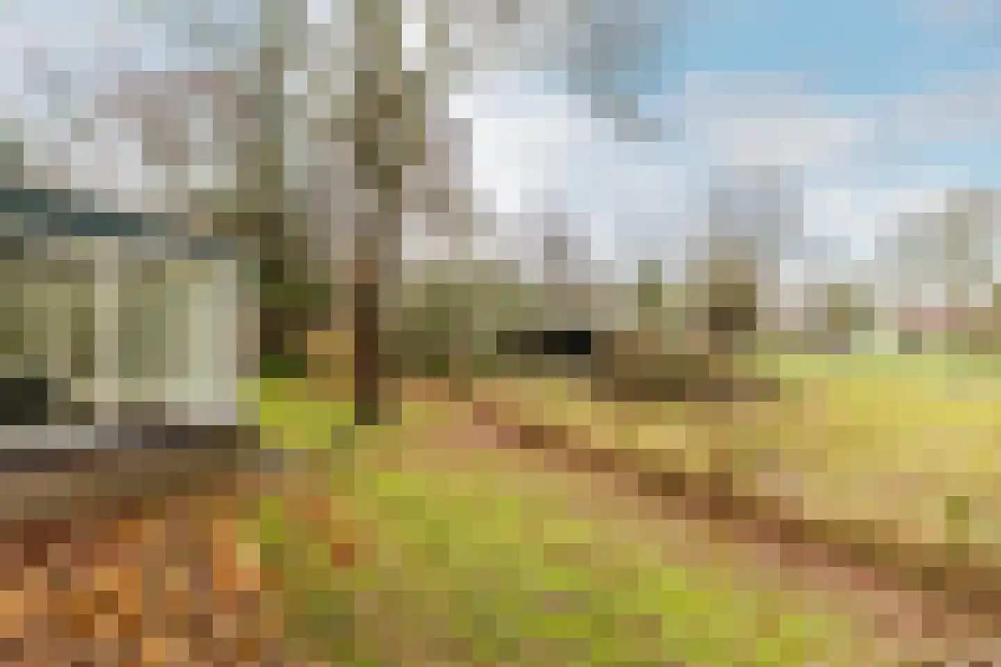 Duindijk 7 Rockanje thumbnail 33