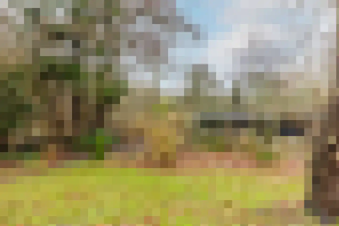 Duindijk 7 Rockanje thumbnail 34