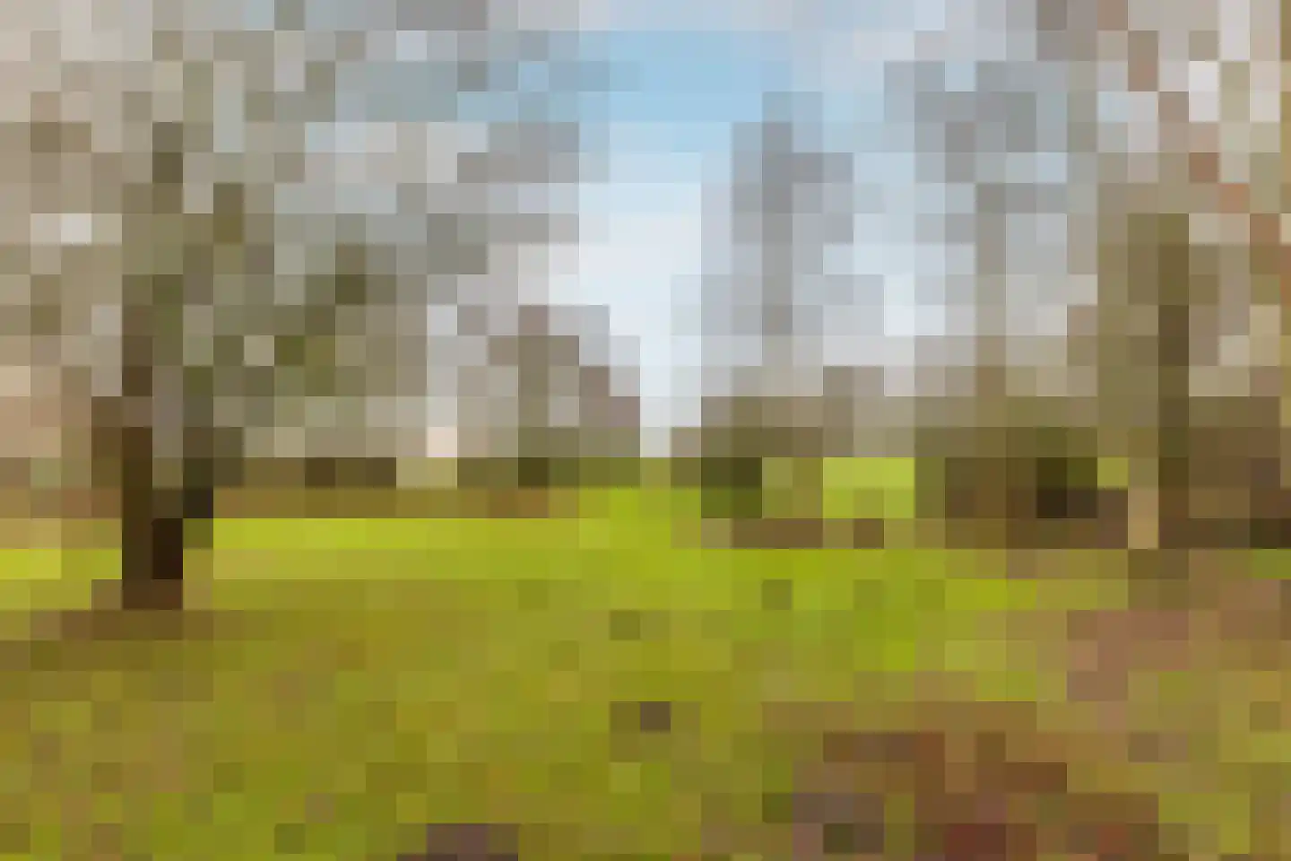 Duindijk 7 Rockanje thumbnail 35
