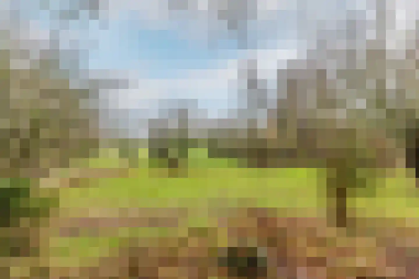 Duindijk 7 Rockanje thumbnail 36