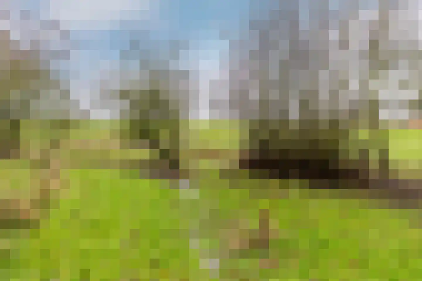 Duindijk 7 Rockanje thumbnail 37