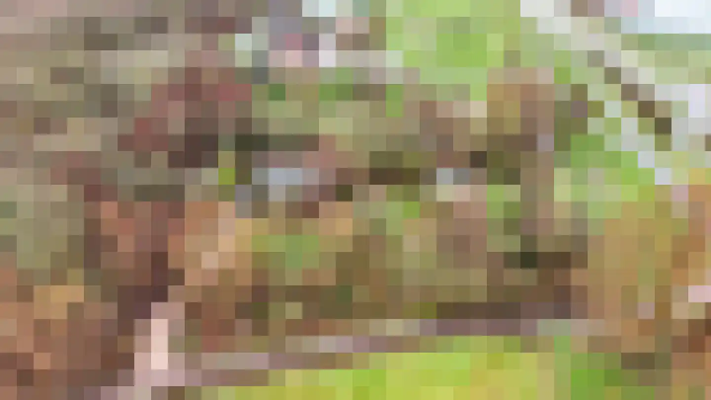 Duindijk 7 Rockanje thumbnail 4